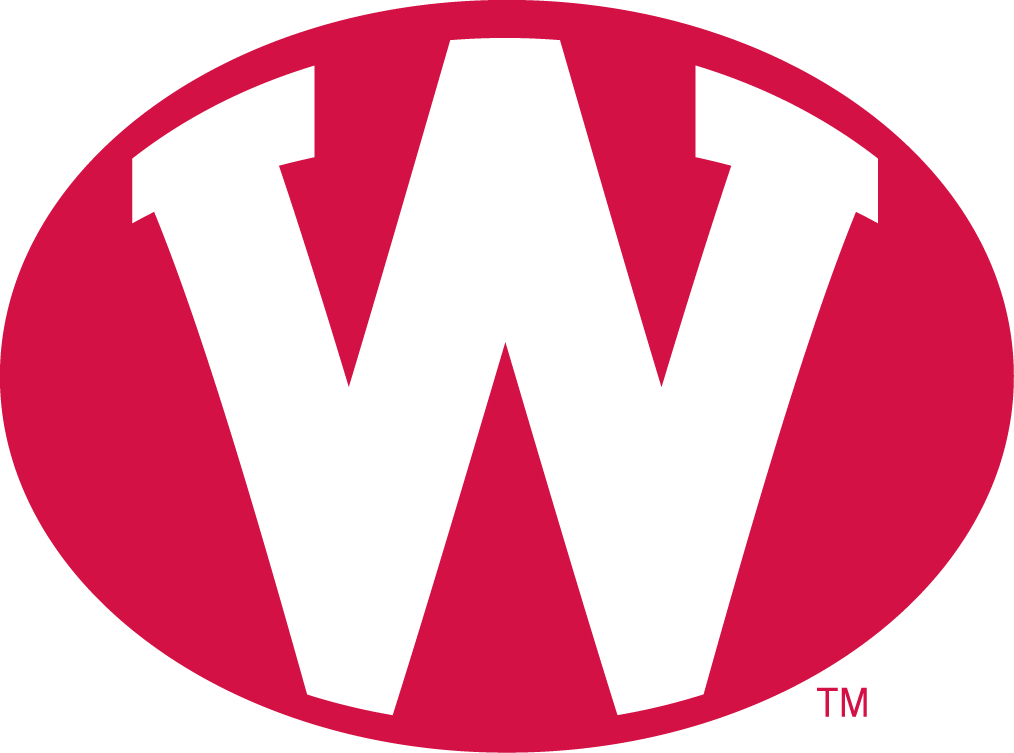 Wisconsin Badgers 1972-1977 Alternate Logo diy DTF decal sticker